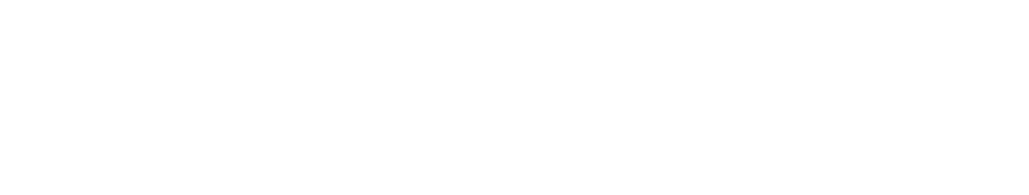 Antik Sidas Turizm