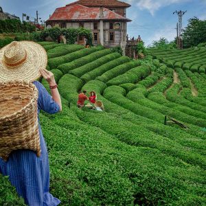 Baştan Başa Karadeniz ve Batum Turu